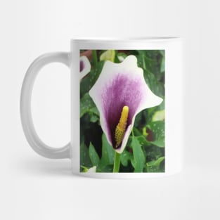 Purple Calla Lily Mug